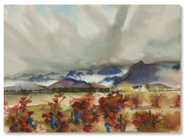 Red Vineyard, Purple Grapes, Blue Mountains, 1978