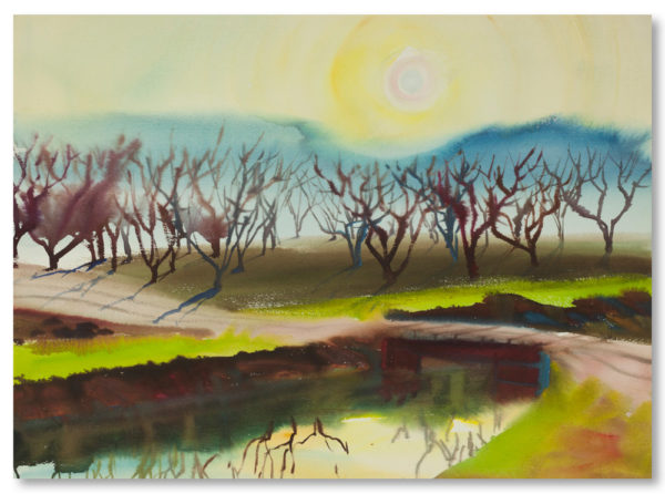 Orchard, Sun, Canal Reflection, 1962